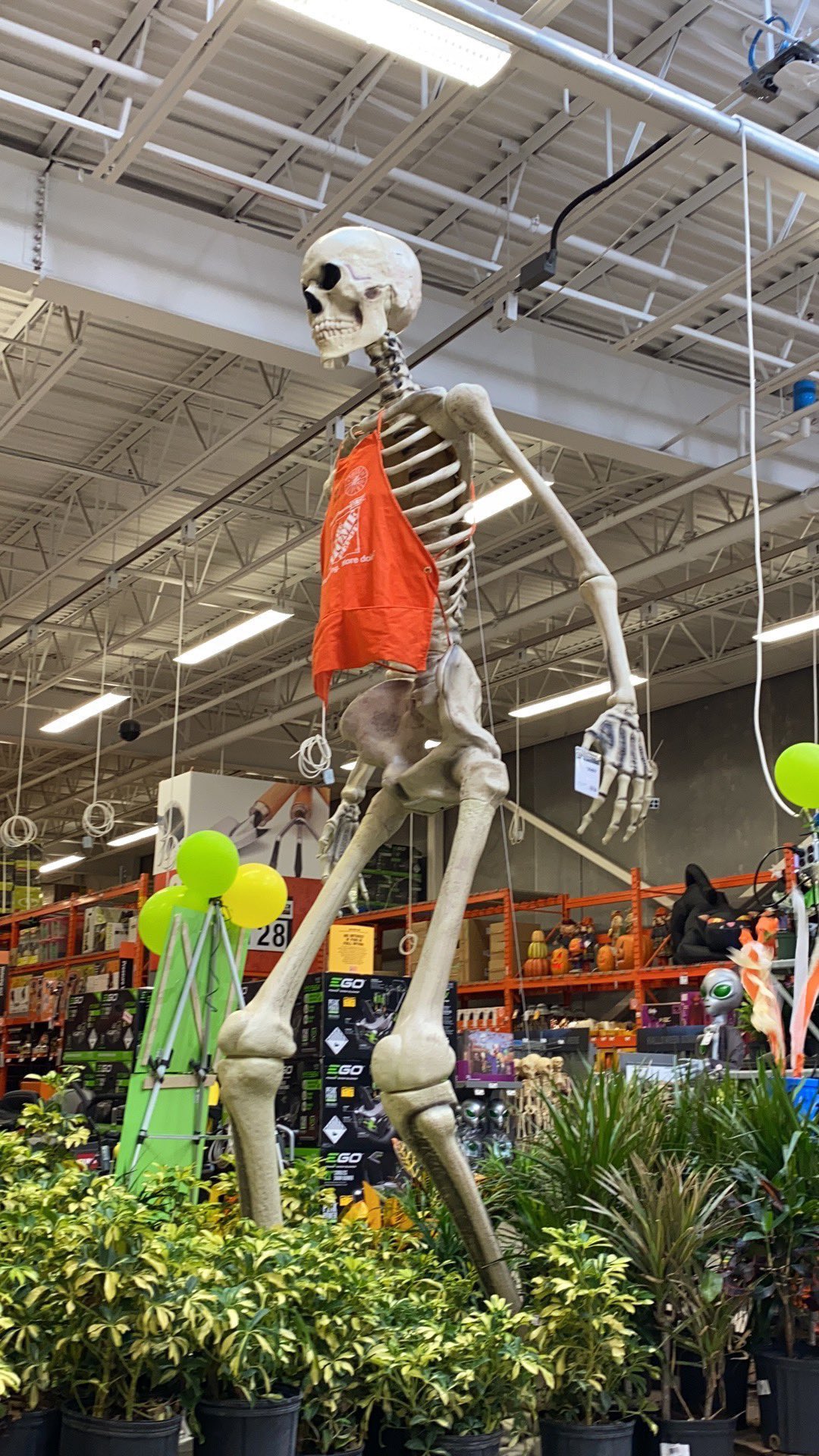 The Best Halloween Decoration of 2020? - 106.3 The Fox