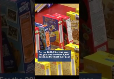 Red Apple Elementary world-record cereal box domino attempt