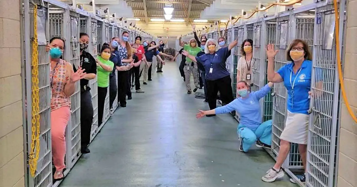 It Was A True Christmas Miracle For One Pennsylvania Animal Shelter   Animal Shelter Celebrates Empty Kennel.webp