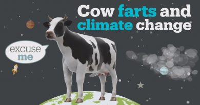 This Week in Science: Farty Cows!