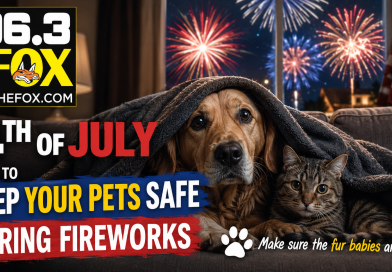 Make sure the fur babies are ok. 