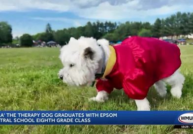 Good News Dog: