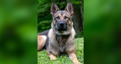 Hancock County Sheriff’s Office Revitalizing K9 Program Hancock County Sheriff’s Office Revitalizing K9 Program