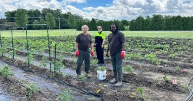 Jail Saves Money By Growing Its Own Vegetables