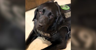 Get To Know Police Department’s New Dual-Purpose K9 Get To Know Police Department’s New Dual-Purpose K9