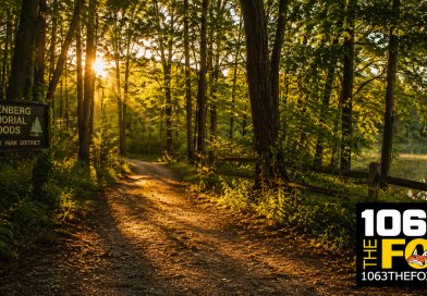 🌳 Hidden Gem Near Findlay