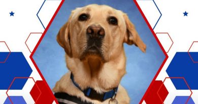 LB Therapy Dog Saluted For Perfect Attendance LB Therapy Dog Saluted For Perfect Attendance